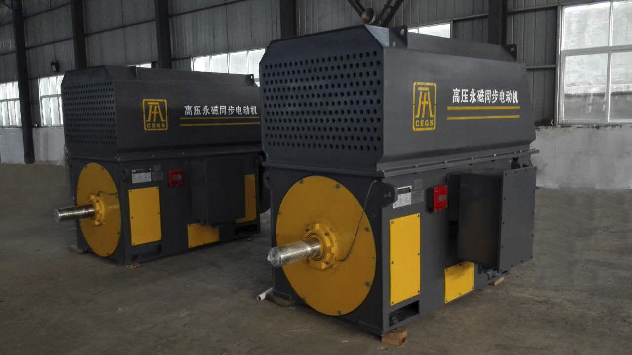 TY5G系列超高效高压三相永磁同步电动机(10K